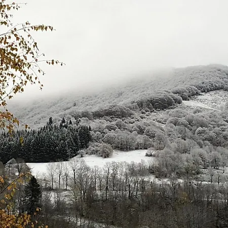 Super Lioran La Maisonette A 5 Km De La Station