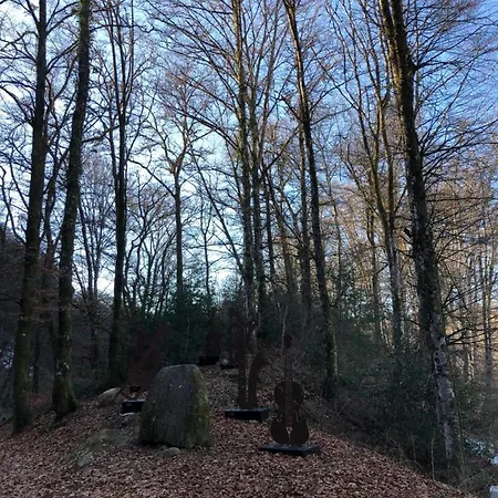 Super Lioran La Maisonette A 5 Km De La Station Saint-Jacques-des-Blats