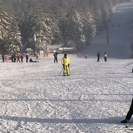 Super Lioran La Maisonette A 5 Km De La Station